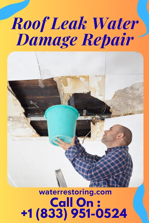 Roof Leak Water Damage Repair in Grantley, PA