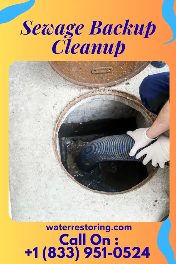 Sewage Backup Cleanup in Grantley, PA