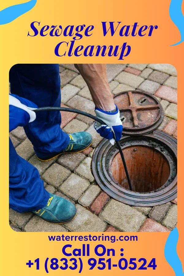 Sewage Water Cleanup in Grantley, PA